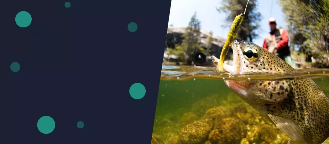 nextfish