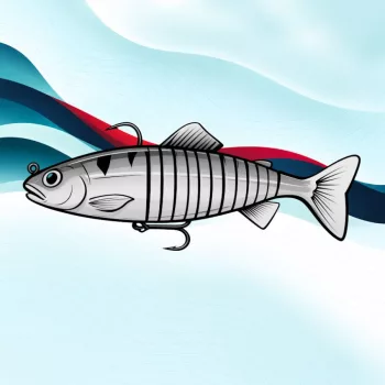 Swimbait